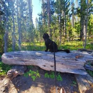 Meet your Posher, Sandy